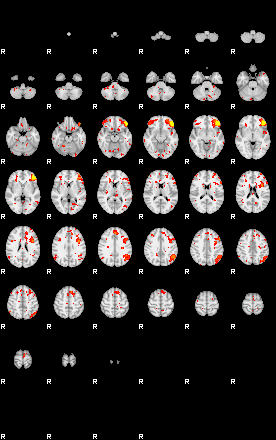 Patient:26;component:42