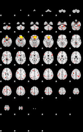 Patient:27;component:113