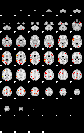 Patient:27;component:131