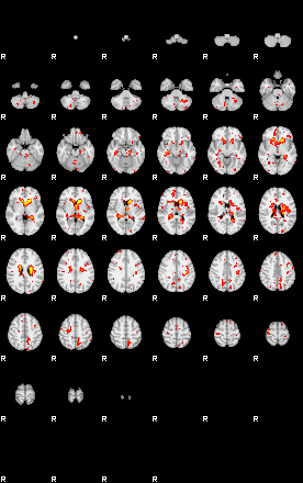 Patient:27;component:153