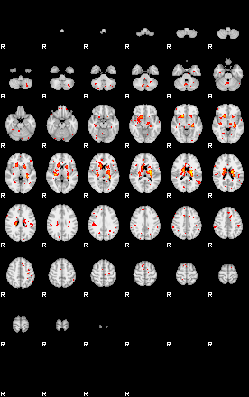 Patient:27;component:39