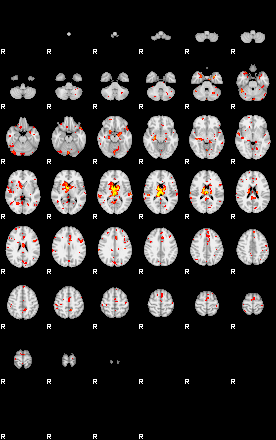 Patient:27;component:47