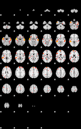 Patient:28;component:137