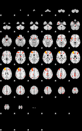 Patient:28;component:146