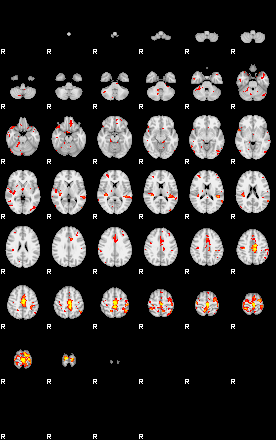 Patient:28;component:166