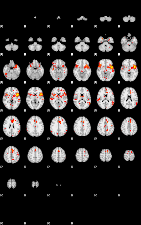 Patient:28;component:195