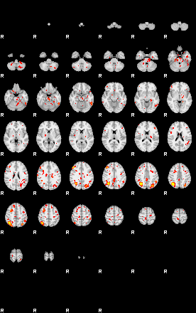 Patient:28;component:25