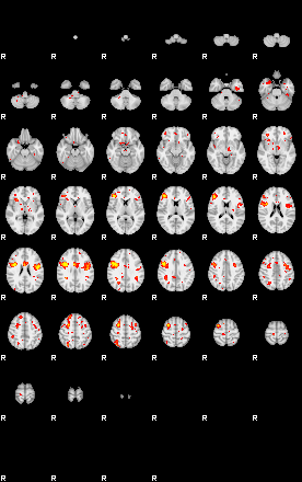 Patient:28;component:75