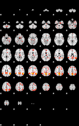 Patient:29;component:118