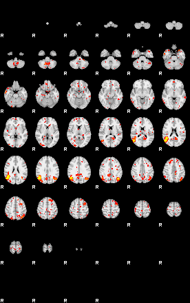 Patient:29;component:142