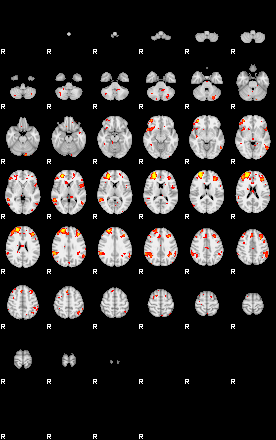 Patient:29;component:146