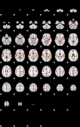 Patient:29;component:156