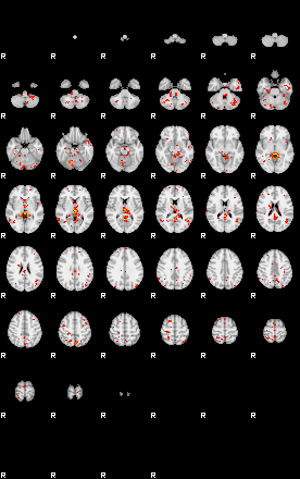 Patient:29;component:167