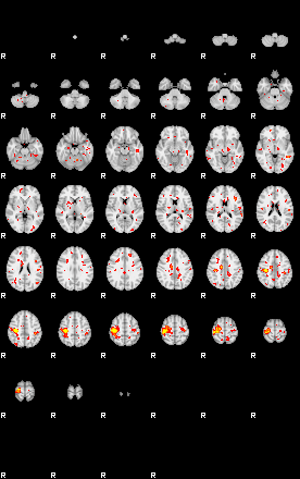 Patient:29;component:178