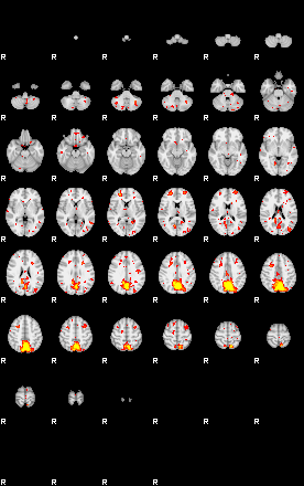 Patient:30;component:118