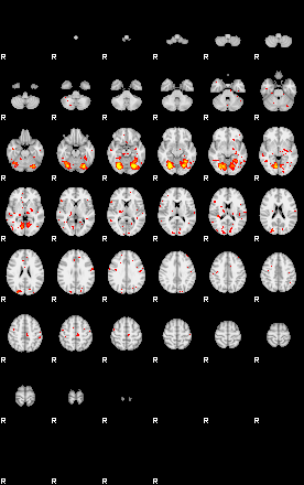 Patient:30;component:126