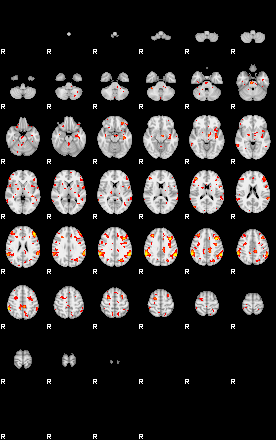 Patient:30;component:138