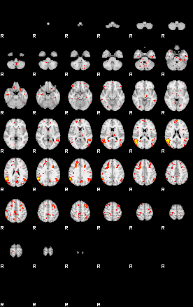 Patient:30;component:142