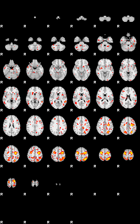 Patient:30;component:147