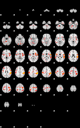 Patient:30;component:156