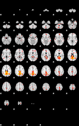 Patient:30;component:157