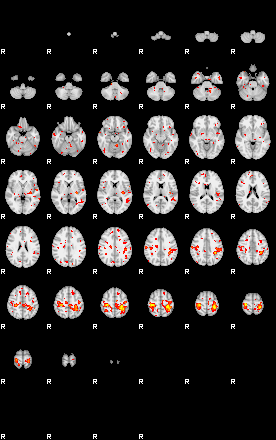 Patient:30;component:178