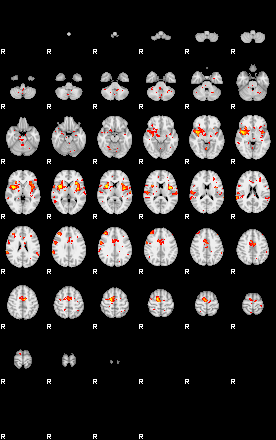 Patient:30;component:186