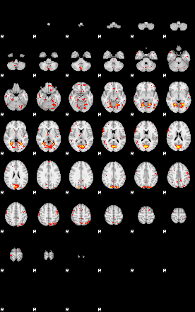 Patient:30;component:53