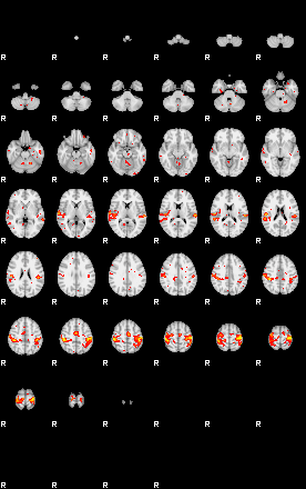 Patient:31;component:101