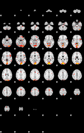 Patient:31;component:102