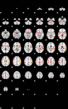 Patient:31;component:123