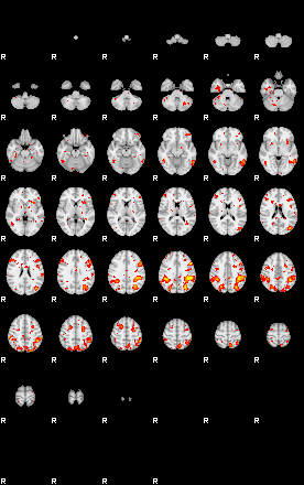 Patient:31;component:141