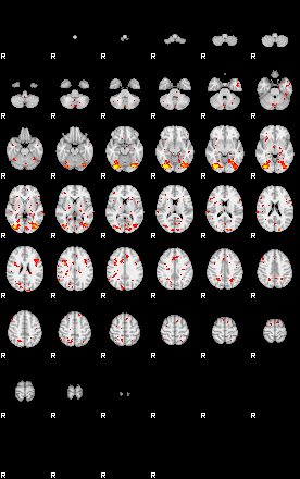 Patient:31;component:143