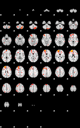 Patient:31;component:146