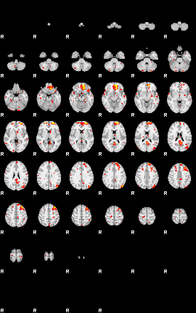 Patient:31;component:149