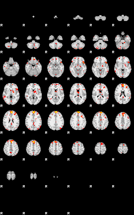 Patient:31;component:155