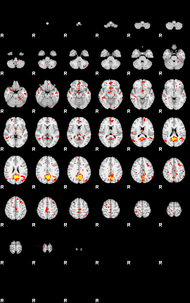 Patient:31;component:157