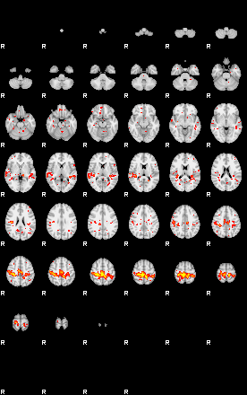 Patient:31;component:178