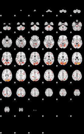 Patient:31;component:181