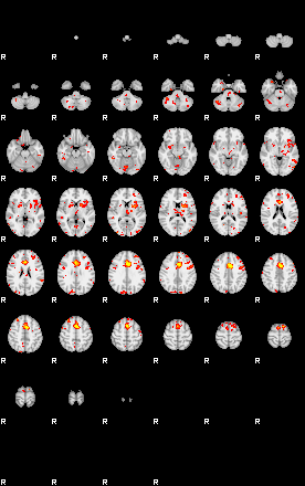 Patient:31;component:194