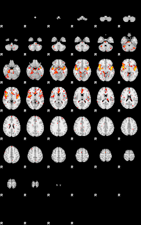 Patient:31;component:195