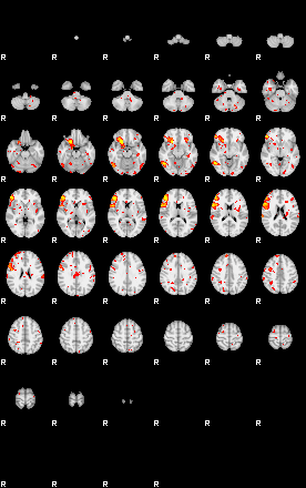 Patient:31;component:27