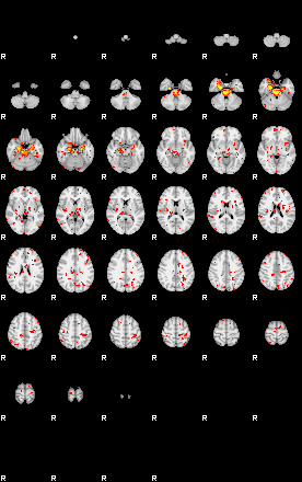 Patient:31;component:77