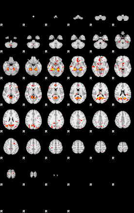 Patient:31;component:82