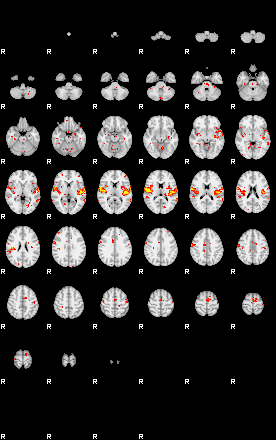 Patient:31;component:96