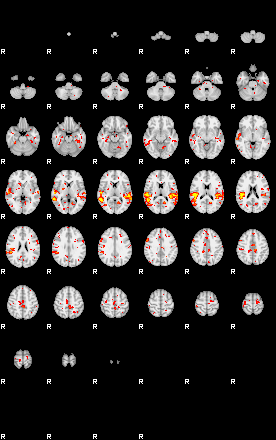 Patient:31;component:98