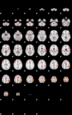 Patient:32;component:101