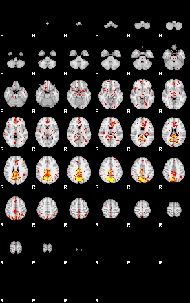 Patient:32;component:118