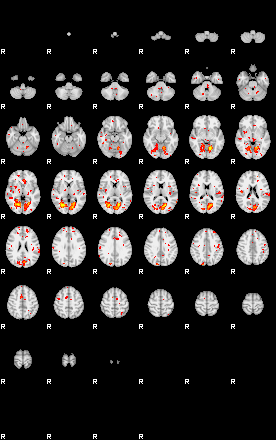 Patient:32;component:134