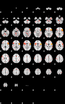 Patient:32;component:141